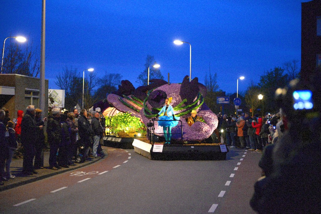 ../Images/Bloemencorso Noordwijkerhout 142.jpg